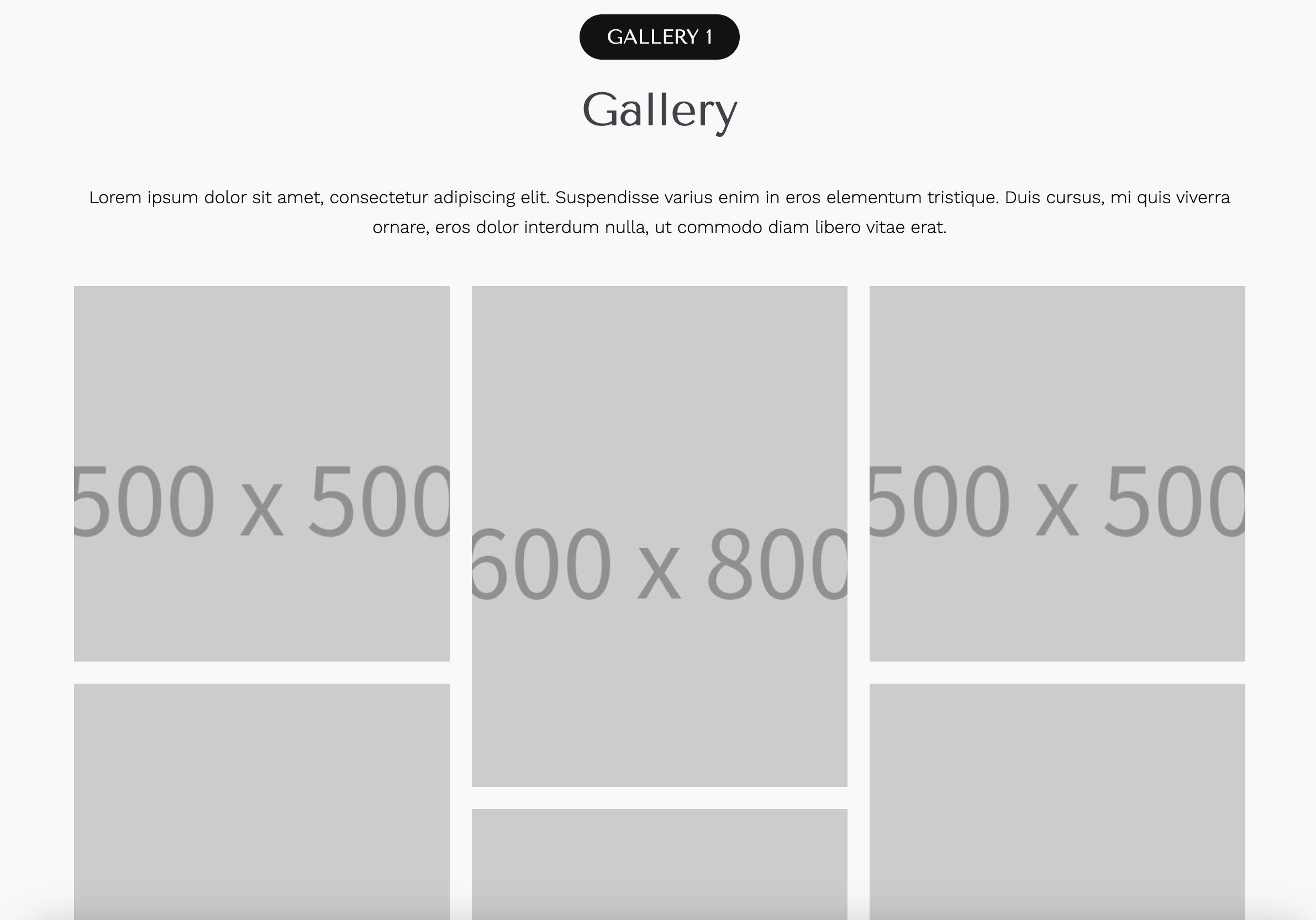 Screenshot 2025-02-07 at 5.22.47 PM